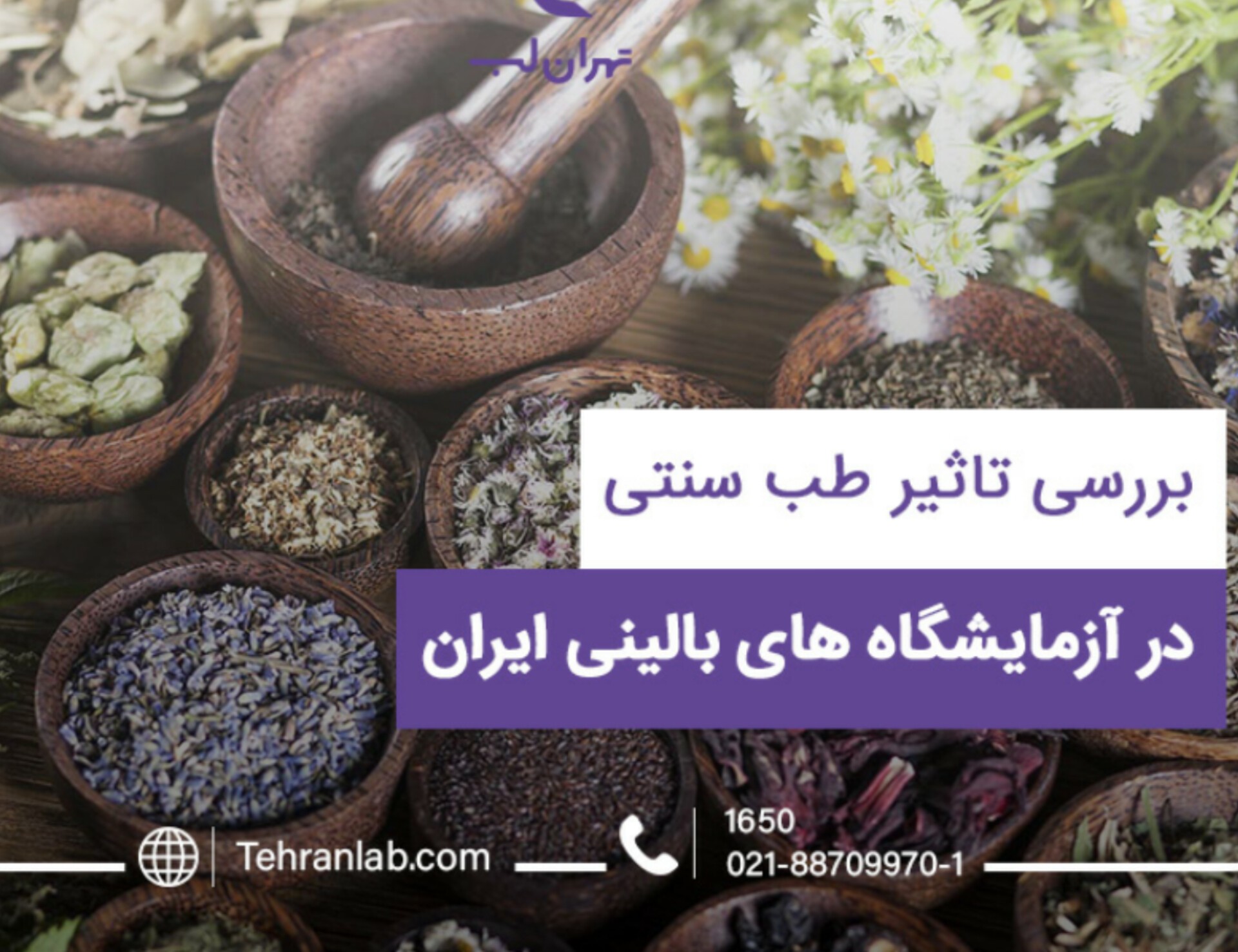 بررسی میزان محبوبیت طب سنتی و پزشکی نوین در ایران