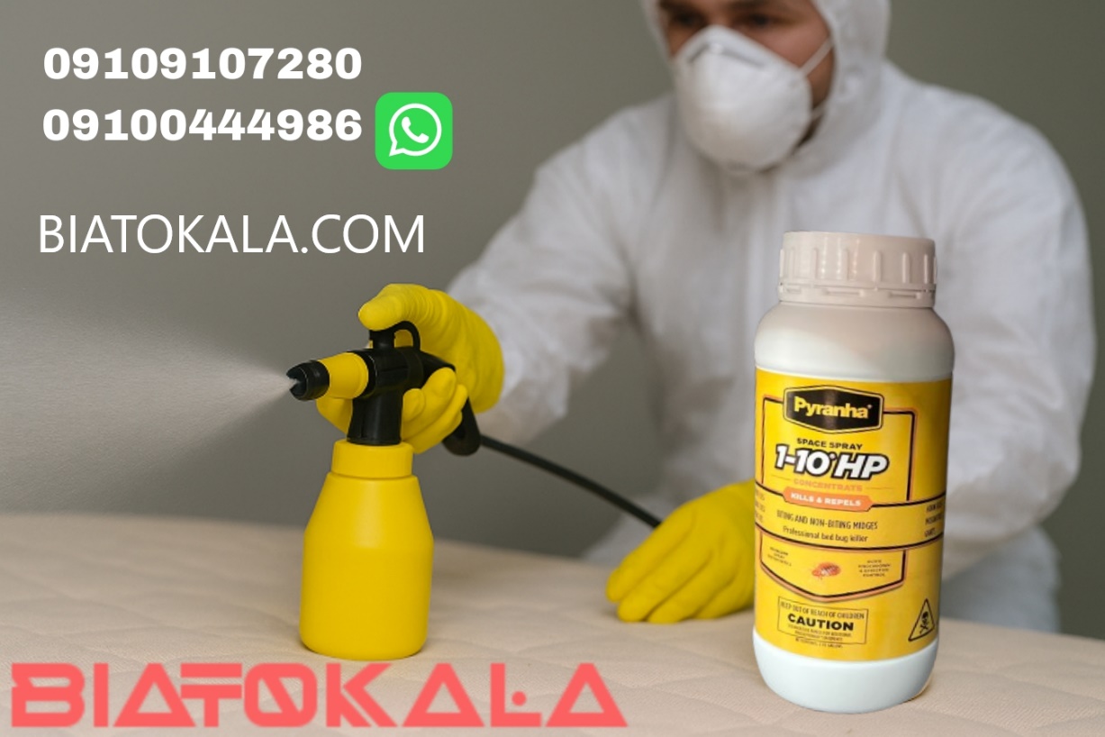 ساس تختخواب از کجا میآید ساس تختخواب از کجا میآید