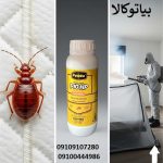 ساس تختخواب از کجا می‌آید