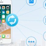 از پشتیبانی سپینو تا دی‌اکتیو اینستاگرام؛ راهنمای جامع سرویس‌های دیجیتال پرکاربرد برای کاربران ایرانی