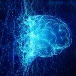 استفاده از هوش مصنوعی دانش ما را کاهش می‌دهد!