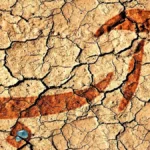 فاجعه شدت گرفت ؛ سقوط ذخایر آبی بحران آفرید