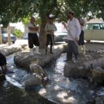 «نجات آب» ــ 43 | قانون‌گذاری برای توقف کشت‌های غیراقتصادی در بحران آبی