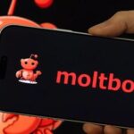 رسوایی شبکه اجتماعی Moltbook؛ آدرس ایمیل و کلید API هزاران کاربر لو رفت