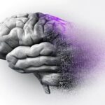 راهکارهای مراقبت از بیمار آلزایمری در شرایط جنگی