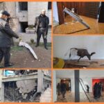 یک گالری هدف حمله آمریکا و رژیم صهیونیستی قرار گرفت