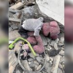دلنوشته جناب‌خان برای صاحب عروسک مانده در آوار؛ دردت به جون مُو باشه