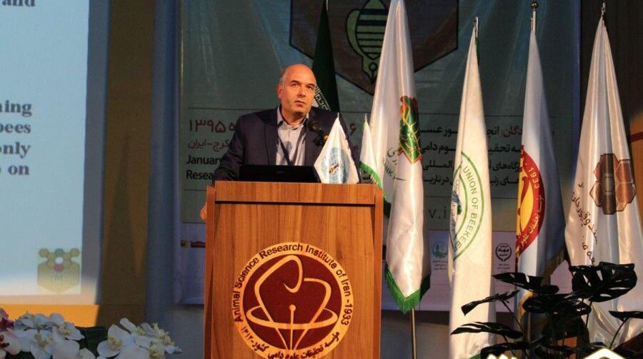 زنبورستانها درگیر تلفات ناشی از سمپاشی‌ها؛ مدیریت سمپاشی و استفاده از سموم پرخطر ضروری است