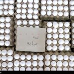 قیمت تخم مرغ کاهش می‌یابد