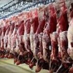 وضعیت امسال مراتع برای چرای دام عالی شد+ قیمت گوشت