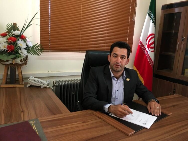 کاهش ۵۰درصدی تولید زیتون در ۱۴۰۴؛ با صادرات فله‌ای برای دیگران ارزش افزوده ایجاد کرده‌ایم