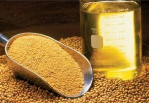 ثبت سفارش واردات روغن خام از 10 تیر آغاز می‌شود