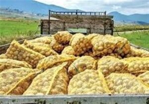 صادرات سیب‌زمینی تا پایان سال ممنوع شد