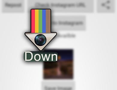 معرفی Insta Downloader : دانلود بدون دردسر از اینستاگرام