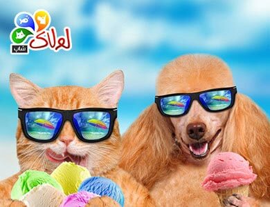 معرفی اپلیکیشن پت شاپ اینترنتی لولاک