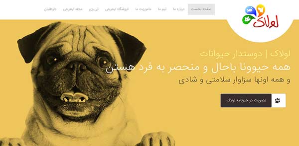 تهیه غذای مناسب برای سگ