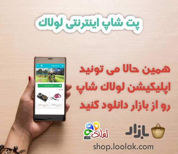 اپلیکیشن پت شاپ اینترنتی لولاک