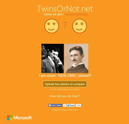 twinsornot_tesla