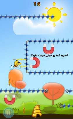 زنبور بازیگوش