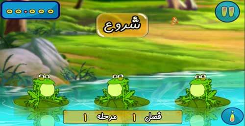 برکه قورباغه ها