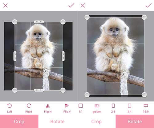 InstaBeauty