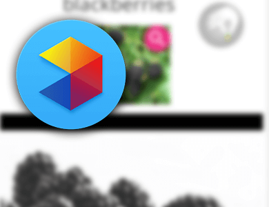 معرفی اپلیکیشن Memrise