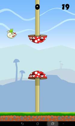 Chicken Rider Frog