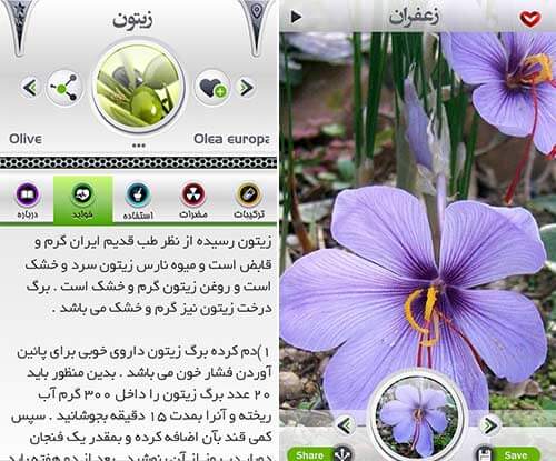 اکسیر سبز