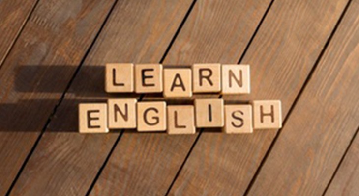 دلفین: اپلیکیشنی جامع برای یادگیری و تقویت زبان‌های خارجی