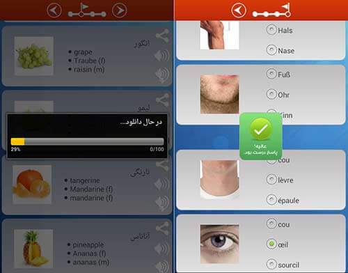 واژگان تصویری 3 زبانه