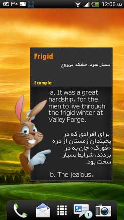Rabbit
