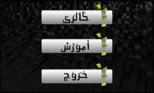 استریوگرام (تصاویر سه بعدی)