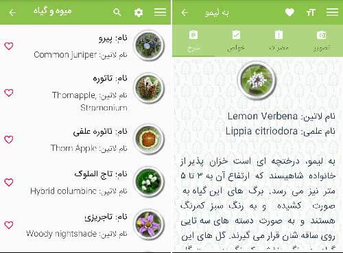 پزشک خانواده