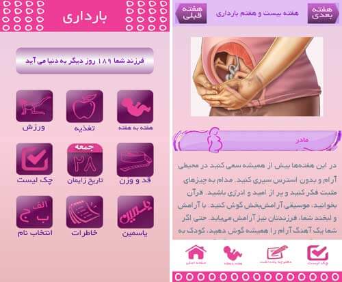 بارداری