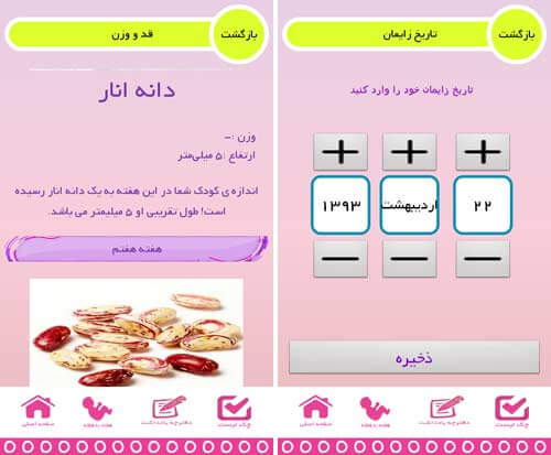 بارداری