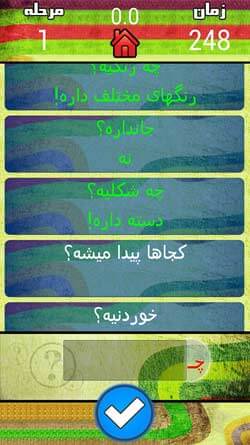 20 سوالی