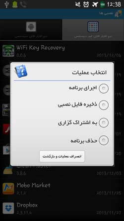نصبی ها